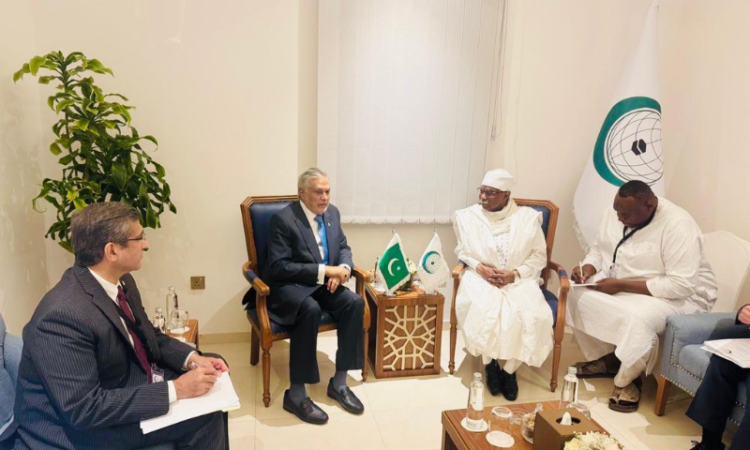 Dar meets OIC Secretary General, condemns Israel’s recognition of Somaliland