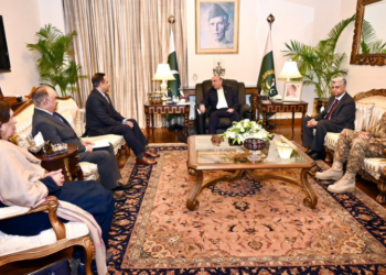 Ambassador-designate to the Kingdom of Jordan calls on President Zardari