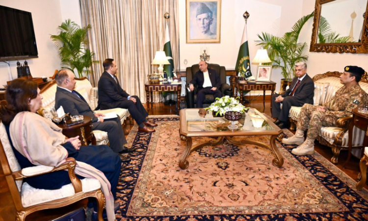 Ambassador-designate to the Kingdom of Jordan calls on President Zardari