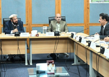 Senate committee reviews National Heritage, calls for strengthened culturaliInstitutions