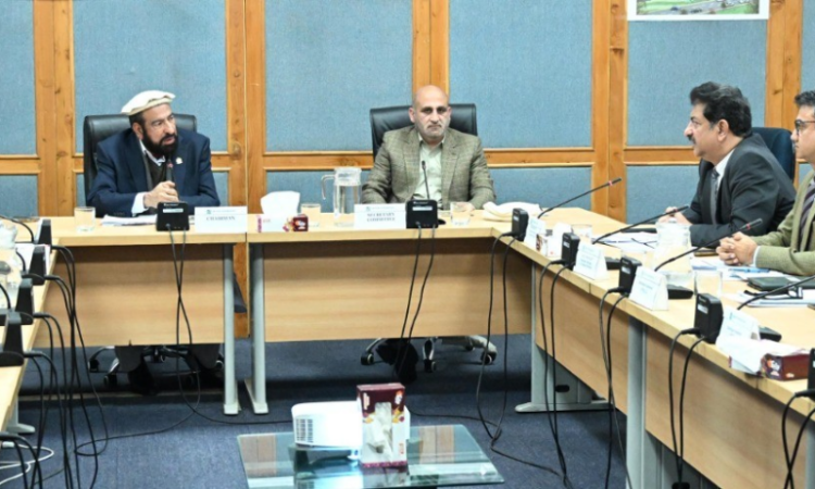 Senate committee reviews National Heritage, calls for strengthened culturaliInstitutions