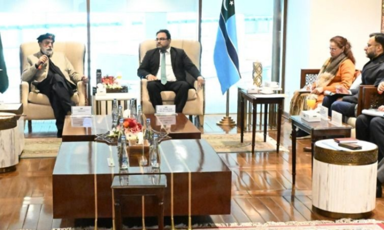 Senate Defence Committee conducts inspection of Islamabad International Airport