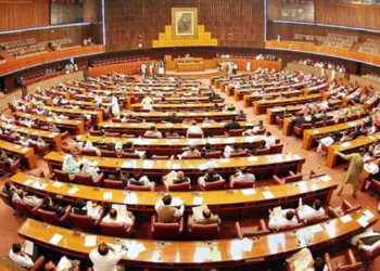 Senate committee reviews NESPAK, OGRA performance; voices concern over Karachi water crisis