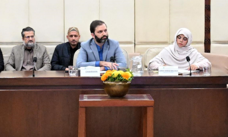 Senate committee reviews privatization budget, PIACL progress, and airport service outsourcing