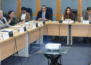 Senate IT Committee raises alarm over corruption, data breaches and weak internet services