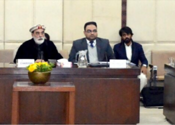 Senate Defence Committee calls for fare cap on Quetta flights, urges restoration of PIA services to Chitral