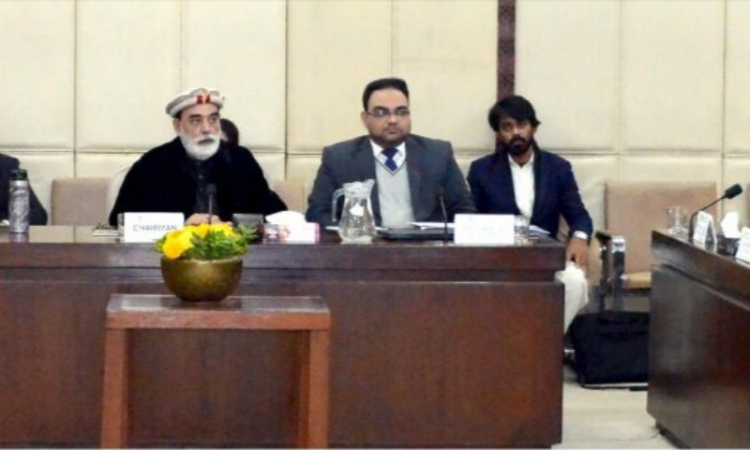 Senate Defence Committee calls for fare cap on Quetta flights, urges restoration of PIA services to Chitral