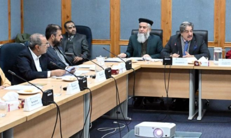 Senate committee reviews Pak PWD salary delays, FGEHA projects and housing issues