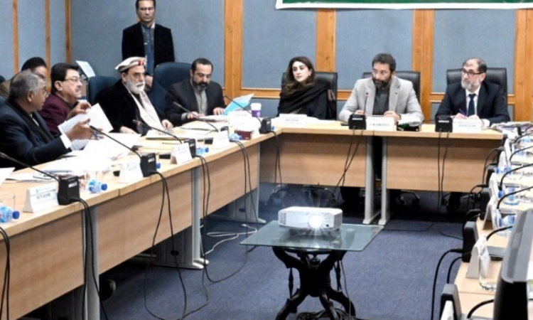 Senate Standing Committee reviews law and order, passes key bills