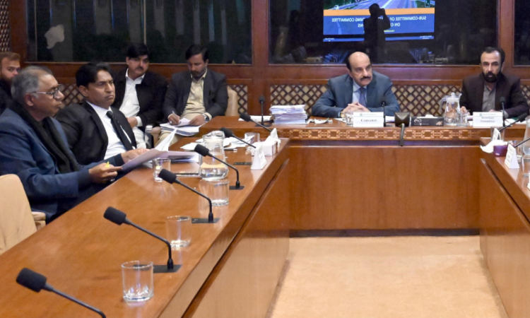 Senate sub-committee reviews CAREC project delays, calls for accountability