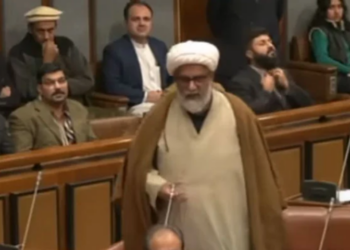 Senator Raja Nasir Abbas appointed Leader of Opposition in Senate