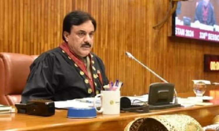 Syedal Khan Nasar hosts international delegation at Senate on leadership and stability