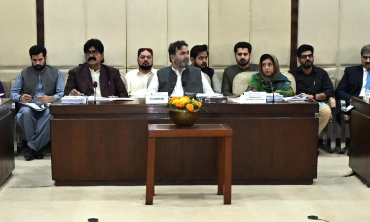 Senate committee approves Virtual Assets Bill 2025