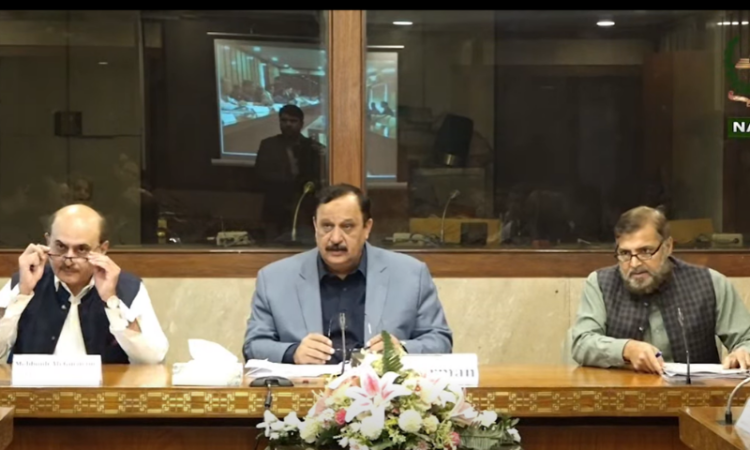 Na committee recommends PSDP proposals of establishment, SIFC divisions and Board Of Investment
