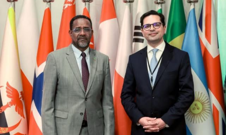 Ethiopia, Pakistan discuss stronger cooperation at UN, global peacekeeping and climate leadership