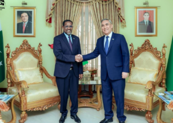 Ethiopian Ambassador calls on Turkmen counterpart, discusses cooperation for landlocked countries
