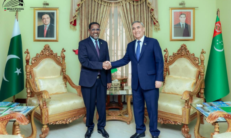 Ethiopian Ambassador calls on Turkmen counterpart, discusses cooperation for landlocked countries