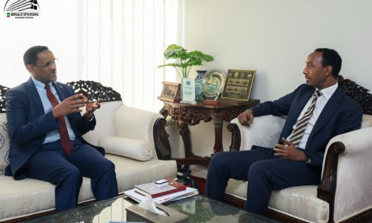 Ethiopian, Somali envoys discuss regional cooperation during Islamabad meeting