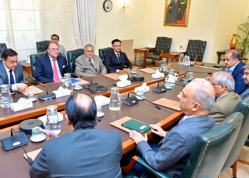 Ishaq Dar reviews progress on privatization of state-owned entities