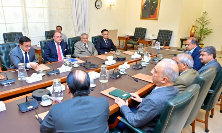Ishaq Dar reviews progress on privatization of state-owned entities