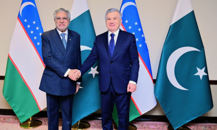 Ishaq Dar meets Uzbek President Mirziyoyev during state visit to Pakistan
