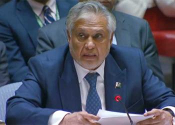Dar condemns Israeli actions at UNSC briefing, calls for permanent ceasefire in Gaza