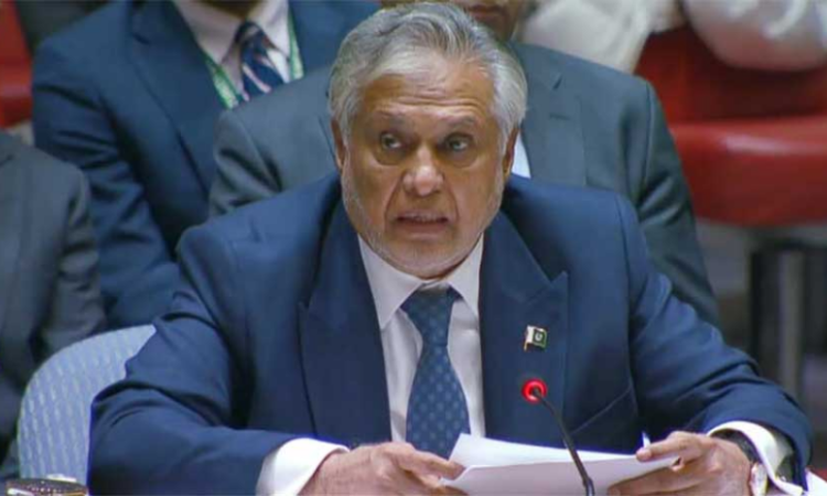 Dar condemns Israeli actions at UNSC briefing, calls for permanent ceasefire in Gaza