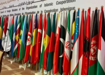 Muslim and Arab foreign ministers condemn US Envoy’s remarks on Israeli control of Arab territories