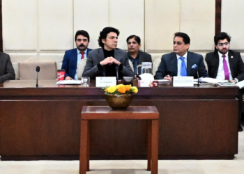 Senate panel orders crackdown on corruption, illegal land allotments in maritime sector