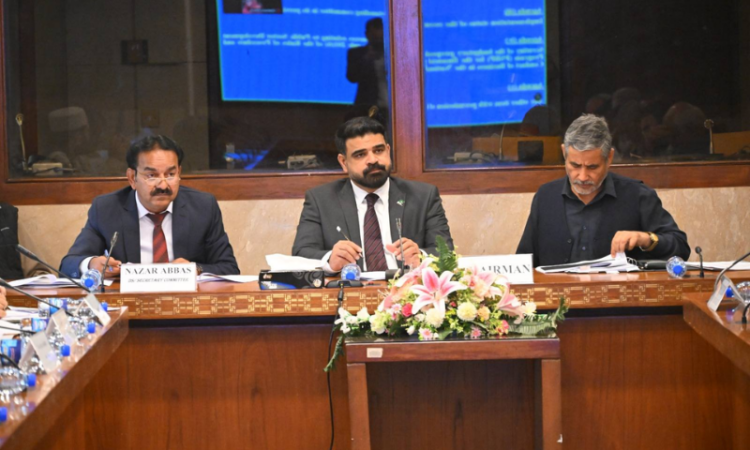 NA committee approves ongoing projects, seeks updates on LBOD and canal schemes