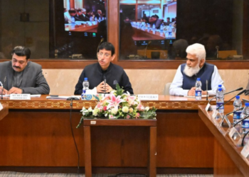 NA committee passes Telecom Amendment Bill, defers Electronic Transactions Bill