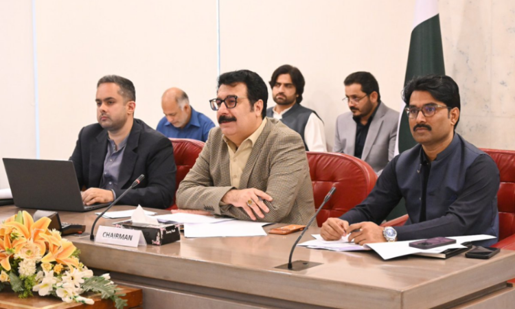 Parliamentary committee flags operational gaps in welfare services for overseas Pakistanis in Europe