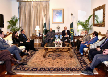 PM Shehbaz, President Zardari hold high-level meeting on political, economic, and security matters