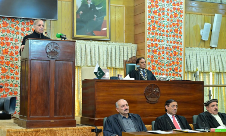 India using proxies to destabilize Pakistan, says PM Shehbaz on Kashmir Solidarity Day