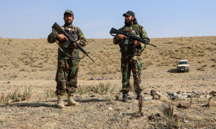Pakistan’s major offensive against Afghan Taliban continues, 331 militants killed