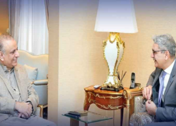 Federal Minister of Communications meets with Canadian High Commissioner to Pakistan