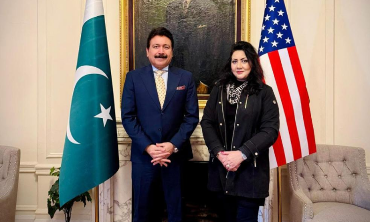 Pakistan Consul General in New York meets humanitarian leader Anjum Anwar