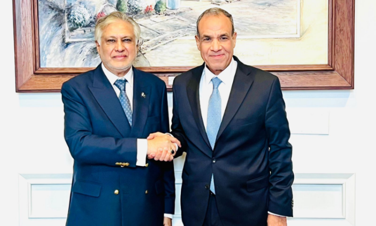 Dar meets Egyptian FM in New York, discusses Gaza and bilateral ties