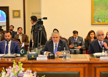 Pakistan, Indonesia explore enhanced investment and economic ties