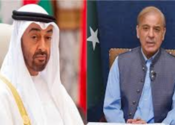 PM Shehbaz condemns Gulf attacks, assures UAE of Pakistan’s support