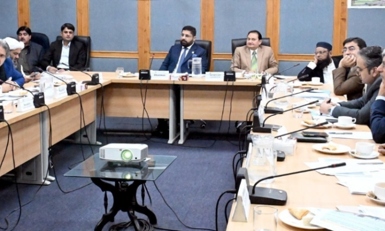 Senate committee reviews governance, security, environmental and refugee issues in AJK, GB