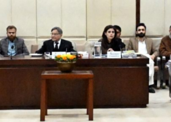 Senate Law committee reviews constitutional bills, rejects graduation condition for top offices