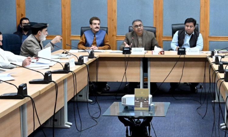 Senate sub-committee summons Chairman FBR in cigarette theft case