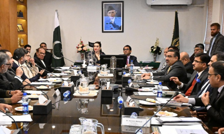 Senate panel declares PIFD meeting ‘null and void,’ orders probe into governance issues