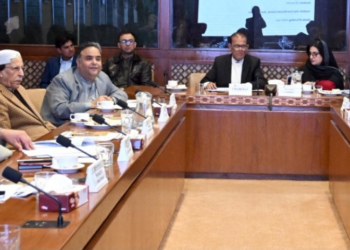 Senate committee reviews PSDP budget, NAFSA performance, and agricultural projects