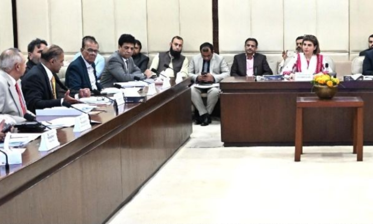 Senate panel demands urgent crackdown on rising drug addiction among youth in educational institutions