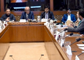 Senate committee directs CDA to issue provisional NDC, orders PIA to ground crew over misbehaviour