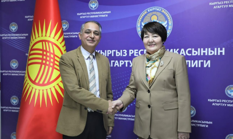 Pakistan, Kyrgyzstan explore enhanced cooperation in education sector