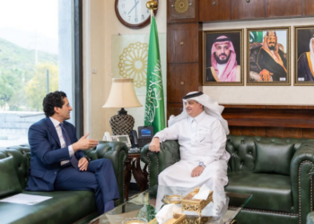 Pakistan, Saudi Arabia discuss energy cooperation and crude supply via Yanbu Port