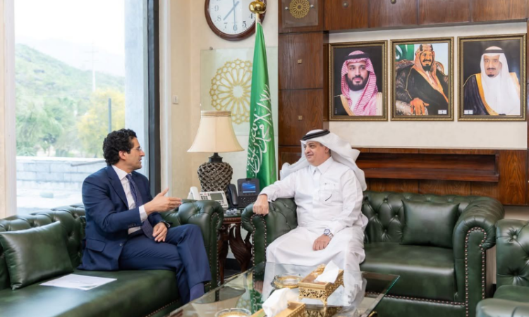 Pakistan, Saudi Arabia discuss energy cooperation and crude supply via Yanbu Port
